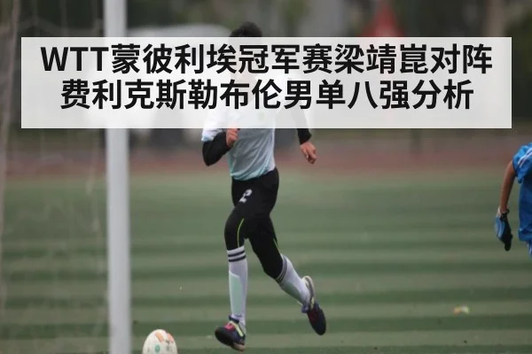 WTT蒙彼利埃冠军赛梁靖崑对阵费利克斯勒布伦男单八强分析 - www.c7c7.app