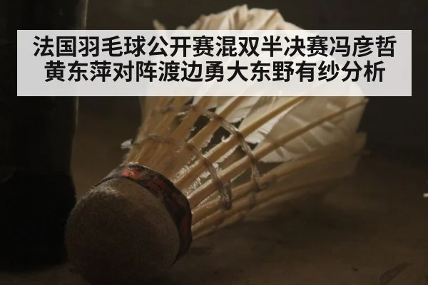 法国羽毛球公开赛混双半决赛冯彦哲黄东萍对阵渡边勇大东野有纱分析 - www.c7c7.app